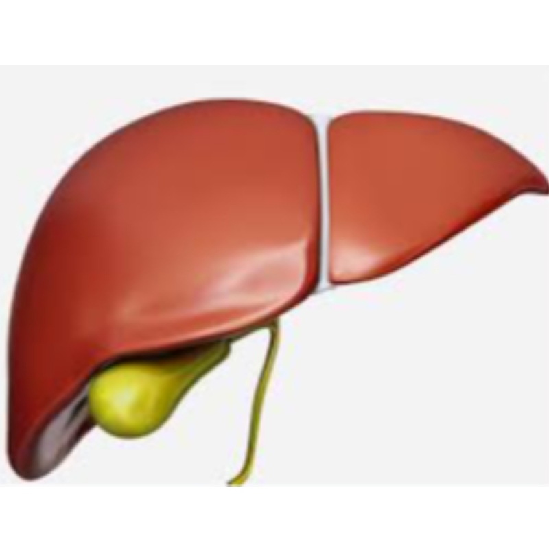 NMN prevents liver aging